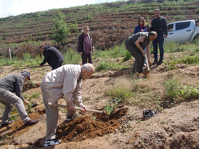 Perpa Persiad Ormanı Kuruldu