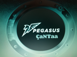 PEGASUS ÇANTA 