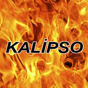 KALİPSO YANGIN ALGILAMA SİSTEMLERİ