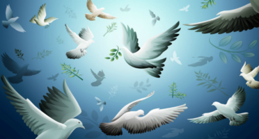 1 Eylül Dünya Barış Günü Kutlu Olsun